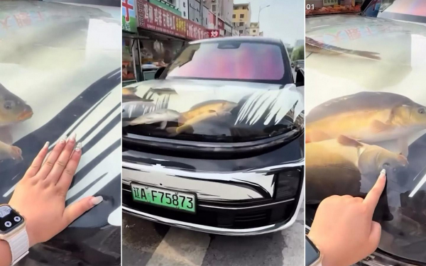 Li auto l9 s akvariumom na kapote video i podrobnosti autonews 9bbf5b0.jpg